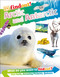 DKFindout! Arctic and Antarctic by DK, 9780744056525