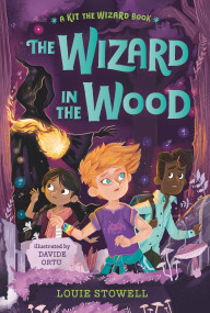 The Wizard in the Wood - 9781536224238 by Louie Stowell, Davide Ortu, 9781536224238