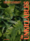The Unkillables (40 resilient house plants for new plant parents) by Jo Lambell, Jo Lambell, 9781914317231