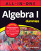 Algebra I All-in-One For Dummies by Mary Jane Sterling, 9781119843047