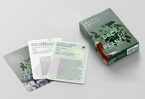Leaf Supply Deck of Plants (50 Indoor Plant Profiles) by Lauren Camilleri, Sophia Kaplan, 9781922417435