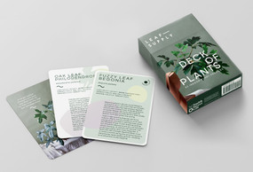 Leaf Supply Deck of Plants (50 Indoor Plant Profiles) by Lauren Camilleri, Sophia Kaplan, 9781922417435