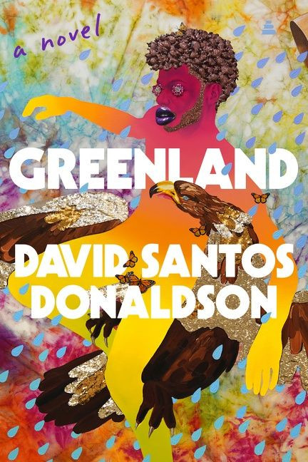Greenland (A Novel) by David Santos Donaldson, 9780063159556