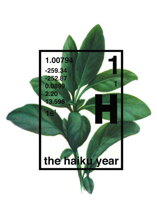 The Haiku Year by Michael Stipe, Douglas Martin, Grant Lee Phillips, Tom Gilroy, 9781932360165