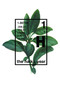 The Haiku Year by Michael Stipe, Douglas Martin, Grant Lee Phillips, Tom Gilroy, 9781932360165