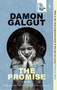 The Promise (A Novel (Booker Prize Winner)) - 9781609457440 by Damon Galgut, 9781609457440