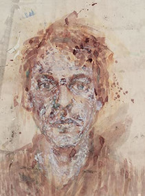 Aäron Willem (Extended Family) by Hans Mertens, Valerie De Prycker, Anyuta Snauwaert, 9789058566706