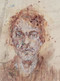 Aäron Willem (Extended Family) by Hans Mertens, Valerie De Prycker, Anyuta Snauwaert, 9789058566706