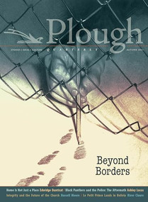 Plough Quarterly No. 29 - Beyond Borders by Edwidge Danticat, Russell Moore, Ashley Lucas, Staphanie Saldaña, River Claure, 9781636080444