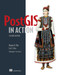 PostGIS in Action, Second Edition by Regina O. Obe, Leo S. Hsu, 9781617291395