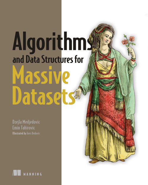Algorithms and Data Structures for Massive Datasets by Dzejla Medjedovic, Emin Tahirovic, Ines Dedovic, 9781617298035