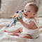 Organic Activity Toy Bear by Petit Collage, 0736313543780
