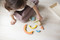 Wooden Balancing Game Wild Rainbow, 0736313544541