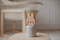Wooden Music Wind-up Lovely Bunny, 5055923778937