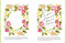 Lovely Lettering Kit (Learn to hand-letter and illustrate your favorite quotes • Includes: 64-page project book, 32-page sketchbook, drawing pencil, 10 markers) by Erin McManness, 9780785840534