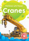 Cranes - 9781644873687 by Amy McDonald, Dana Fleming, 9781644873687
