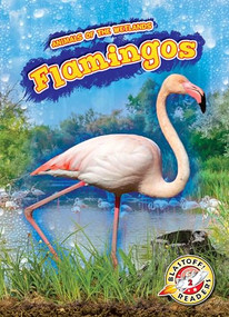 Flamingos - 9781644874189 by Karen Latchana Kenney, 9781644874189