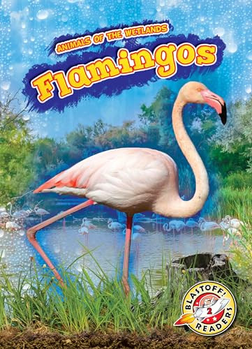 Flamingos - 9781644874189 by Karen Latchana Kenney, 9781644874189