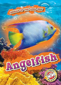 Angelfish - 9781644875025 by Kate Moening, Dana Fleming, 9781644875025