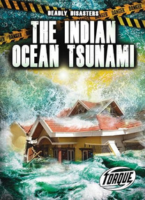 The Indian Ocean Tsunami by Thomas K. Adamson, 9781644875308