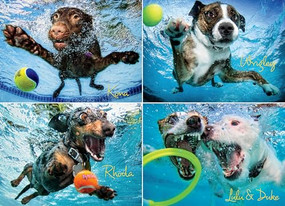 Underwater Dogs 2 1000-piece Puzzle by Seth Casteel, 9781623434380