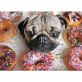 Doug the Pug 1000-Piece Puzzle by Leslie Mosier, 9781623439811