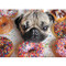 Doug the Pug 1000-Piece Puzzle by Leslie Mosier, 9781623439811
