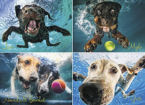 Underwater Dogs: Splash 1000-Piece Puzzle by Seth Casteel, 9781623439996
