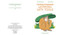 Curious Creatures Working With Tools by Zoë Armstrong, Anja Susanj, 9781838740016