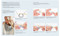 You Can Crochet with Bella Coco (A clear & simple course for the beginner) by Sarah-Jayne Fragola, 9781782219453