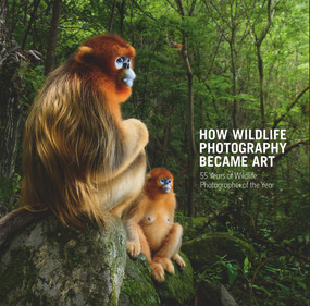 How Wildlife Photography Became Art (55 Years of Wildlife Photographer of the Year) by Rosamund Kidman Cox, 9780565095130