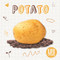 Potato by Kirsty Holmes, 9781839271595