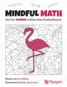 Mindful Math 1 (Use Your Algebra to Solve These Puzzling Pictures) by Ann McNair, Robyn Djuritschek, 9781913565770