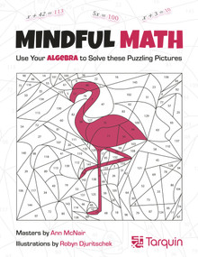 Mindful Math 1 (Use Your Algebra to Solve These Puzzling Pictures) by Ann McNair, Robyn Djuritschek, 9781913565770