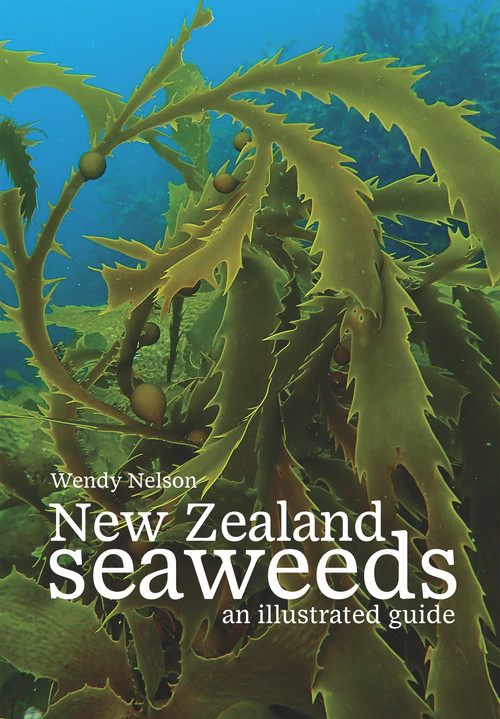 New Zealand Seaweeds (An Illustrated Guide) by Wendy Nelson, 9780995113602