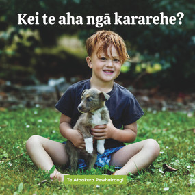 Kei te aha nga kararehe? (Maori Edition) by Te Ataakura Pewhairangi, 9780995143166