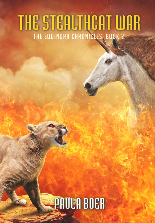 The Stealthcat War by Paula Boer, 9781922556134
