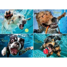 Underwater Dogs: Pool Pawty 1000-Piece Puzzle by Seth Casteel, 9781682348192
