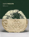 Simone Pheulpin by Christophe Pradeau, 9782702211267