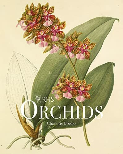 RHS Orchids by Charlotte Brooks, 9781788841610
