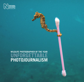 Wildlife Photographer of the Year: Unforgettable Photojournalism by Rosamund Kidman Cox, 9780565095062