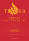 The Tinder of China's Rejuvenation (The Founding of the Communist Party of China) by Tong Liu, 9781487809072
