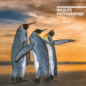 Wildlife Photographer of the Year Desk Diary 2022 by Natural History Museum, 9780565095086