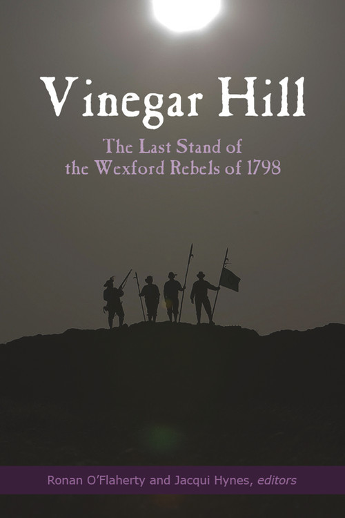 Vinegar Hill (The Last Stand of the Wexford Rebels of 1798) by Ronan O'Flaherty, Jacqui Hynes, 9781846829628
