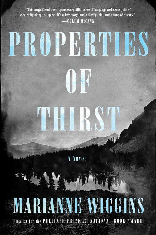 Properties of Thirst by Marianne Wiggins, 9781416571261