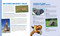 The World Almanac Book of Why: Explanations for Absolutely Everything by World Almanac Kids™, 9781510768581