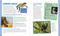 The World Almanac Book of Why: Explanations for Absolutely Everything by World Almanac Kids™, 9781510768581