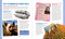 The World Almanac Book of Why: Explanations for Absolutely Everything by World Almanac Kids™, 9781510768581
