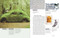 The Elements of Graphic Design (Space, Unity, Page Architecture, and Type) by Alex W. White, 9781621537595