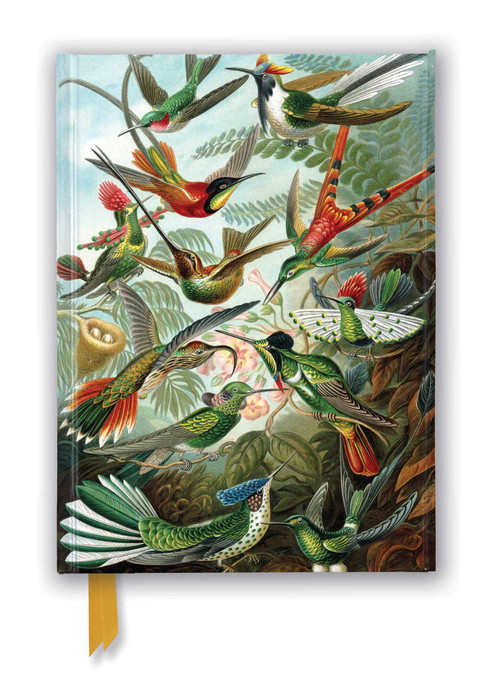 Ernst Haeckel: Hummingbirds (Foiled Journal) by Flame Tree Studio, 9781839648953